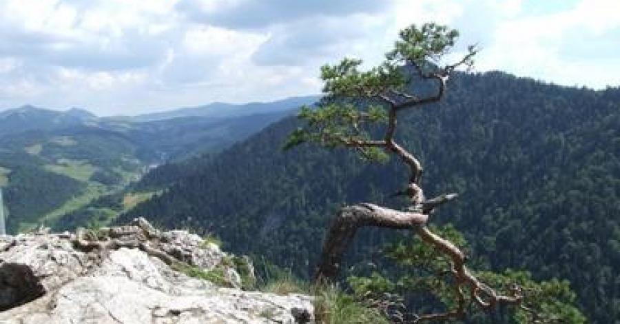 Szczawnica - zdjęcie