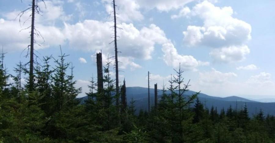 Beskid Żywiecki - zdjęcie
