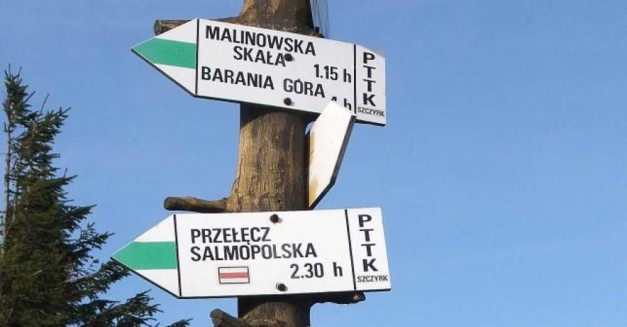 Malinowe klimaty - zdjęcie