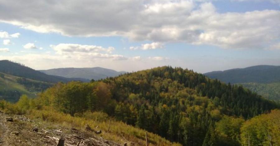 Beskid Śląski - zdjęcie