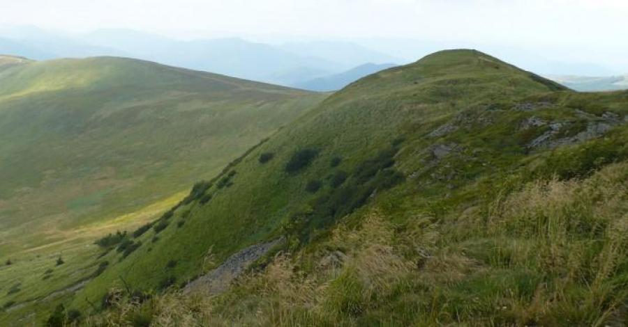 Tarnica - zdjęcie