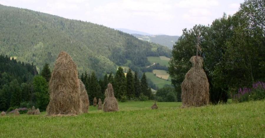 Na gorczańskie łąki - zdjęcie