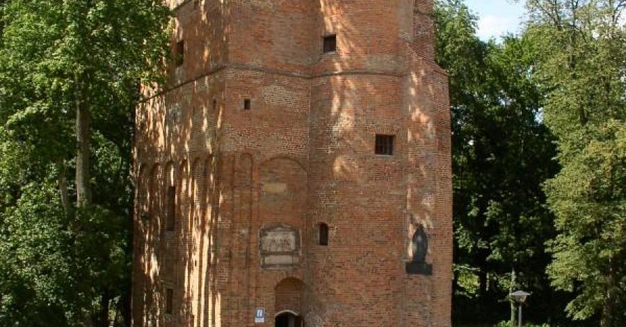 Zamek i pałac w Żmigrodzie - zdjęcie