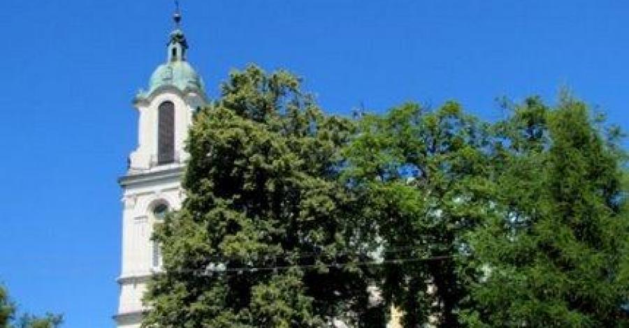 Włodowice - Wieś, która była miastem - zdjęcie