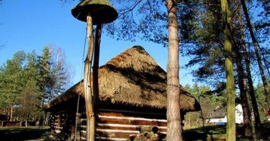 Listopadowy Wygiełzów - zdjęcie