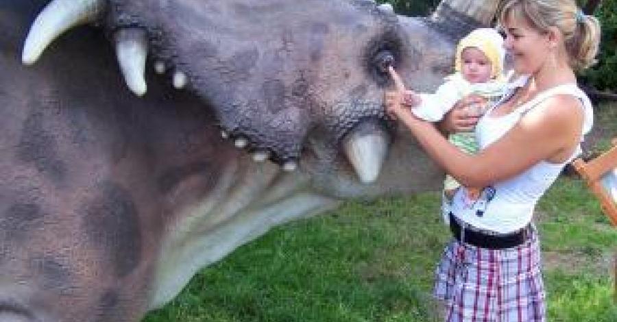 Dino Park w Rybniku - zdjęcie