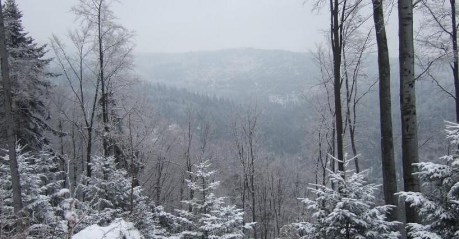 Gorce i Beskid Wyspowy - zdjęcie