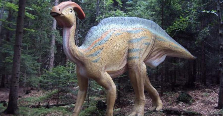 Dinopark Szklarska poręba - zdjęcie
