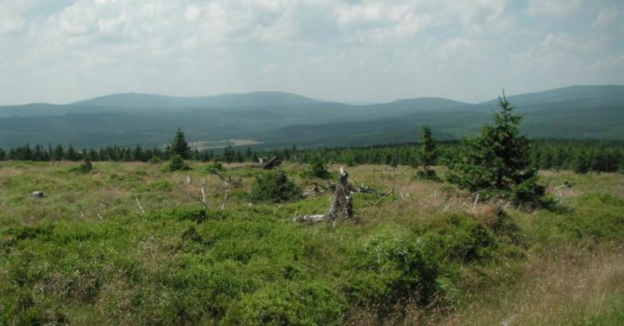Góry Izerskie - zdjęcie