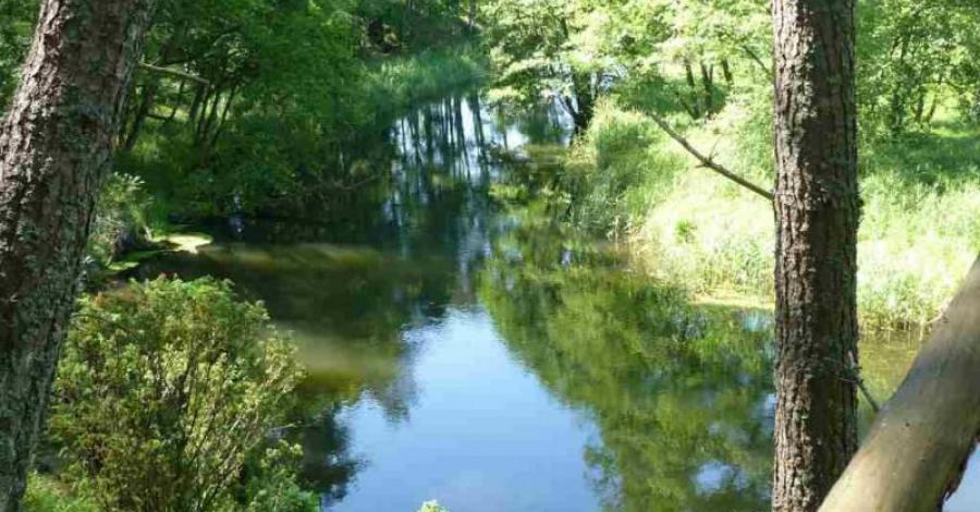 Chojnice -Borne Sulinowo rowerem - zdjęcie