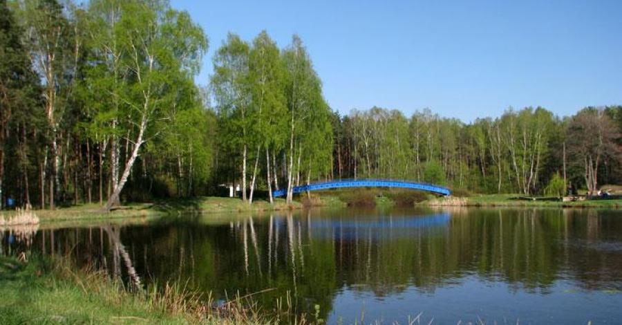Pniowiec - letni azyl - zdjęcie