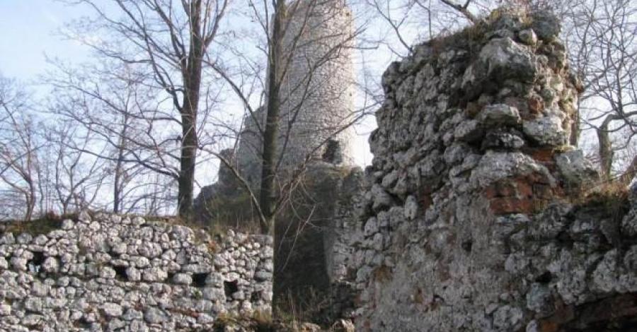 Zamek Smoleń - zdjęcie