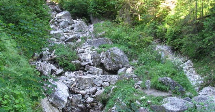 Pieniny - dwa wąwozy - zdjęcie