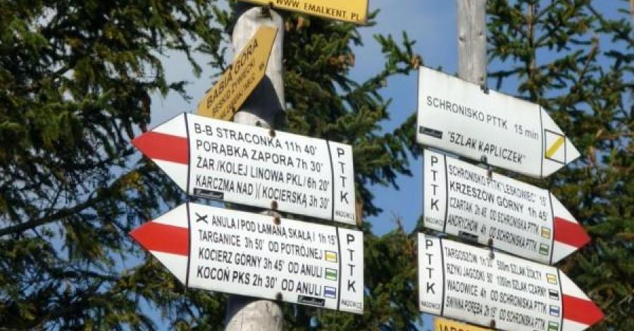 Leskowiec i nie tylko... - zdjęcie