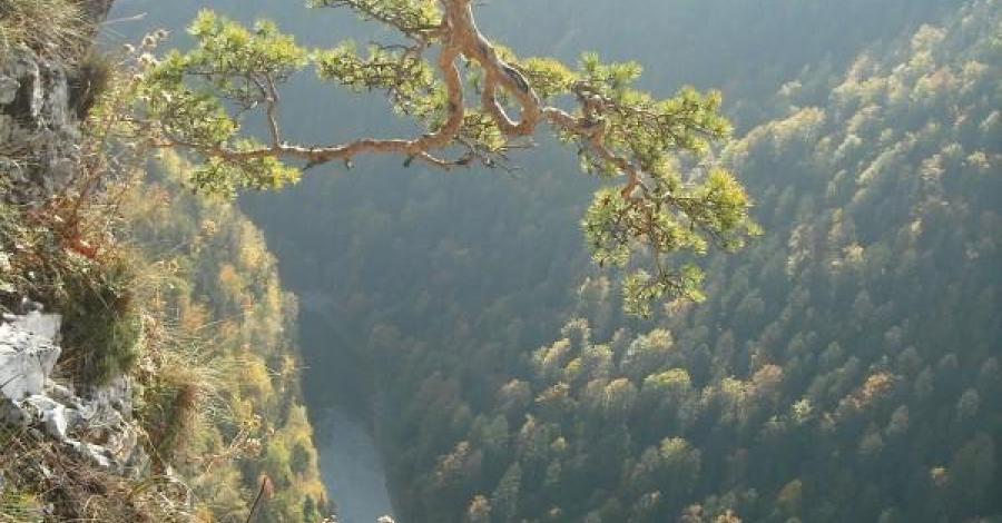 Pieniny - zdjęcie