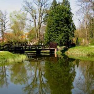 Arboretum w Kórniku