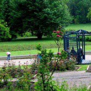 Rosarium w Chorzowie