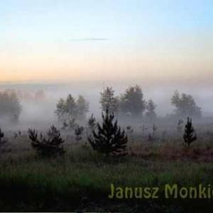 Puszcza Piska