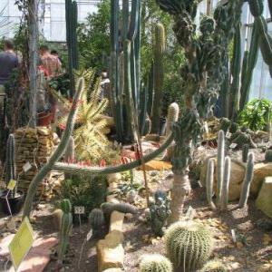Ogród Botaniczny w Warszawie