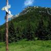 Tatry - Kominiarski Wierch z Przełęczy Iwanickiej, Midorihato