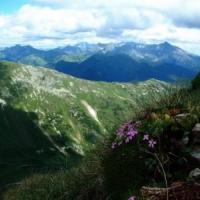 Kamienista i Tatry Wysokie, Midorihato