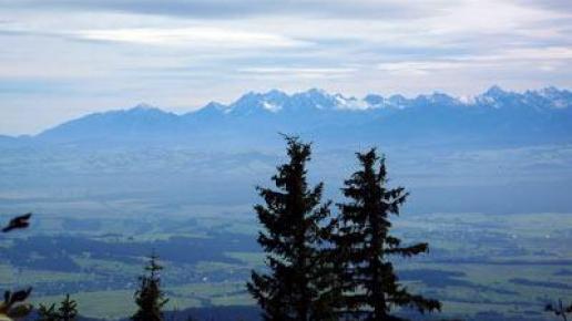 Tatry widziane ze szlaku na Babią, Midorihato