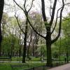 Kraków - planty