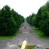 Park z Elki