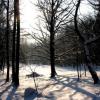 Park Repecki
