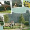 Park Dinozaurów w Karłowie pod Szczelińcem, Katarzyna Jamrozik