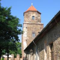 Zamek w Toszku