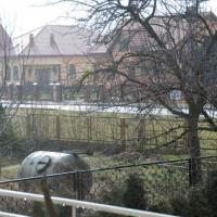 fot. 6 Widok z okna, Michał Brakowski
