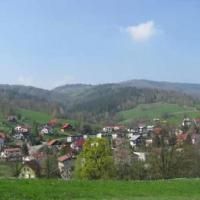 Jawornik, Marek Weber