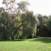 park, Katarzyna Jamrozik