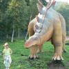 park dinozurów pod Szczelińcem, Katarzyna Jamrozik