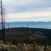 Widoki na Tatry, Teresa Nowak
