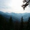 Widok na Tatry, Teresa Nowak