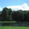 Gołuchów park 5, Wojciech Grabowski