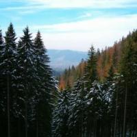 Widok na Zakopane, Teresa Nowak