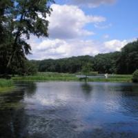 Gołuchów park 6, Wojciech Grabowski
