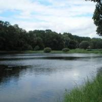 Gołuchów park 1, Wojciech Grabowski