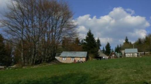 Polana przed schroniskiem, Katarzyna Jamrozik