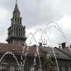 Rynek