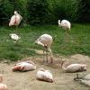ogród zoologiczny, Katarzyna Jamrozik
