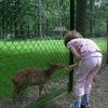 ogród zoologiczny, Katarzyna Jamrozik