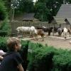 ogród zoologiczny, Katarzyna Jamrozik