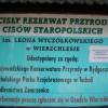 Cisy Staropolskie , Wojciech Grabowski