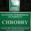 Cisy Staropolskie , Wojciech Grabowski