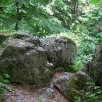 Las Wolski - Panieńskie Skały, Katarzyna Jamrozik