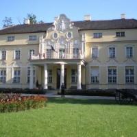 Witaszyce pałac, Wojciech Grabowski